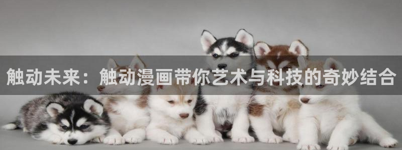 动漫里番app