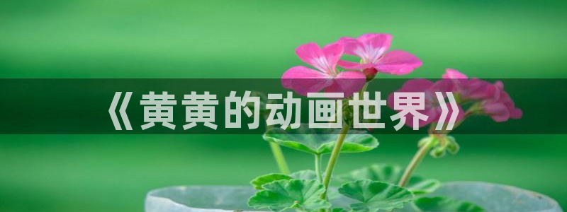 里番漫在线观看