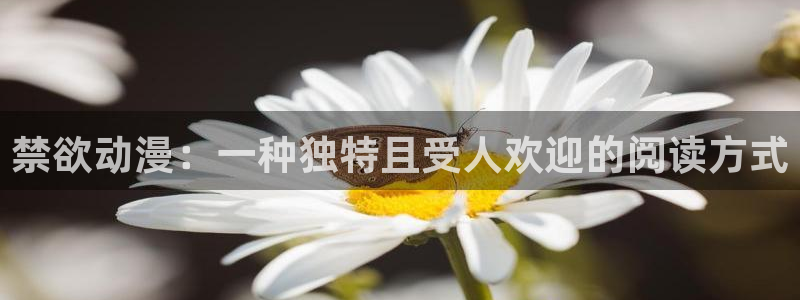 里番动漫图片