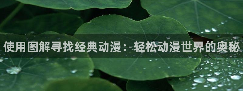 里番全彩漫画库：使用图解寻找经典动漫：轻松动漫世界的奥秘
