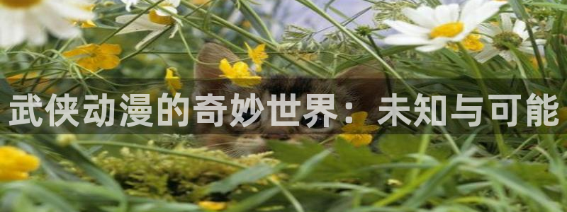 里番动漫影：武侠动漫的奇妙世界：未知与可能