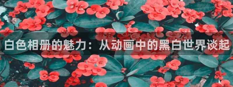 口工里番动漫：白色相册的魅力：从动画中的黑白世界谈起