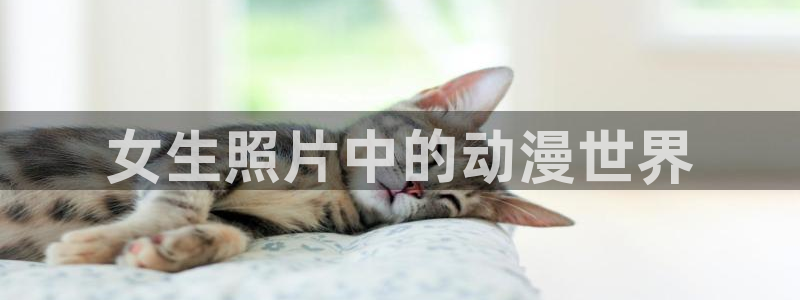 日本动漫里番免费观看：女生照片中的动漫世界