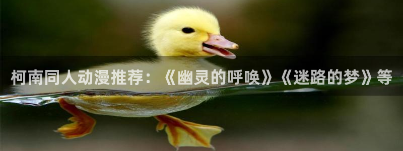 里番动漫入口