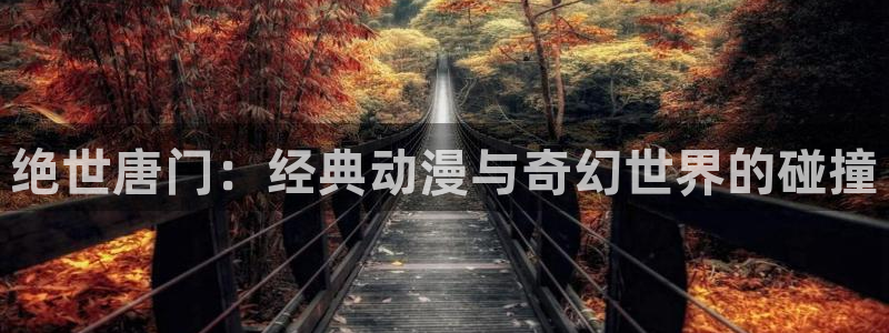 可以看里番的动漫网：绝世唐门：经典动漫与奇幻世界的碰撞