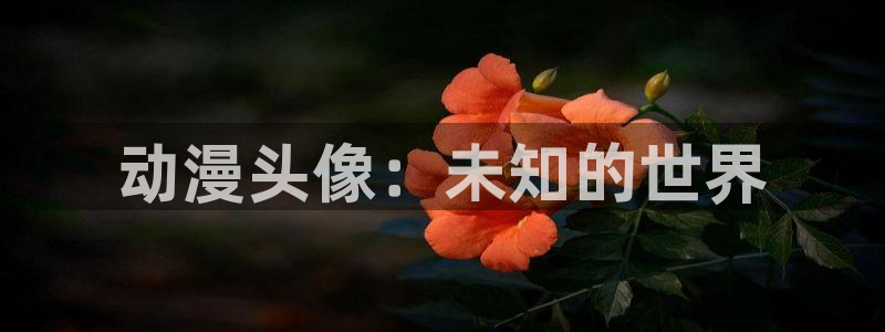 有那些好看里番动漫：动漫头像：未知的世界
