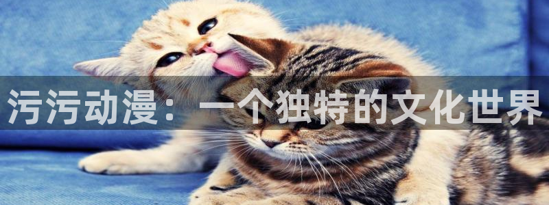 里番动漫网：污污动漫：一个独特的文化世界
