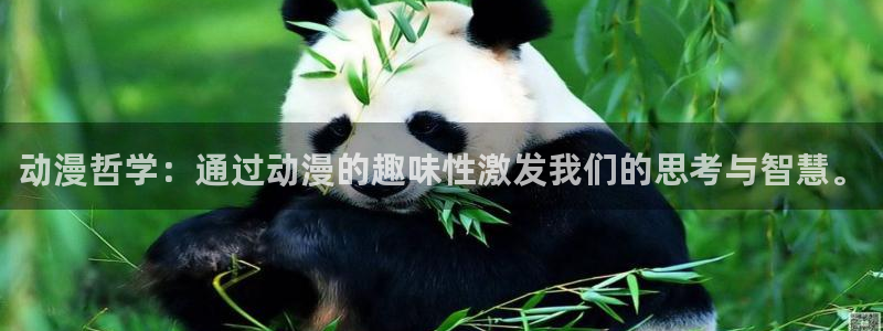 里番动漫视频在线观看：动漫哲学：通过动漫的趣味性激发我们的思考与智慧。