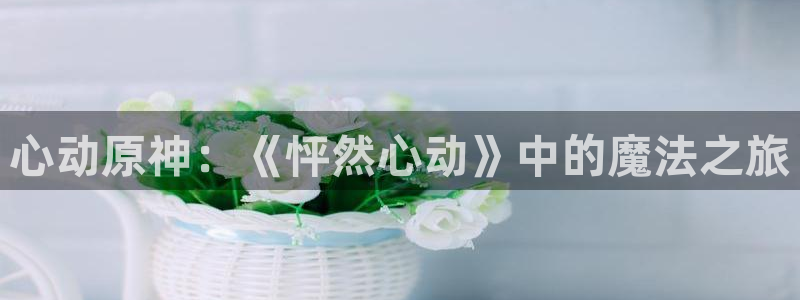 里番漫画全集：心动原神：《怦然心动》中的魔法之旅