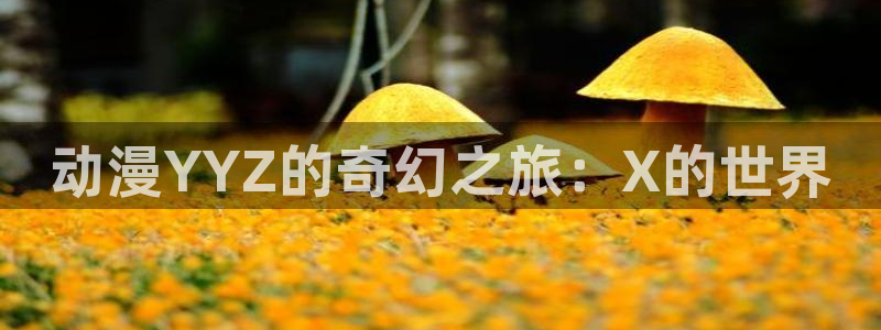 日本动漫里番网站：动漫YYZ的奇幻之旅：X的世界