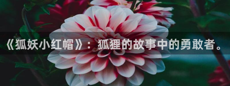 里番漫画作者：《狐妖小红帽》：狐狸的故事中的勇敢者。