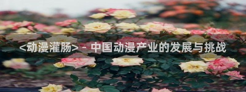 漫画少女里番：<动漫灌肠> - 中国动漫产业的发展与挑战