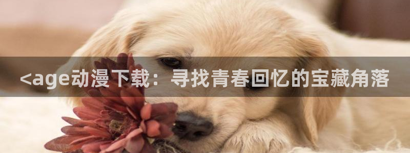 里番动漫在线：<age动漫下载：寻找青春回忆的宝藏角落