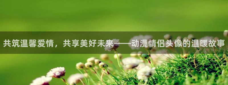 动漫最新里番：共筑温馨爱情，共享美好未来——动漫情侣头像的温暖故事