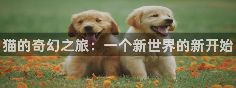 里番动漫网页入口