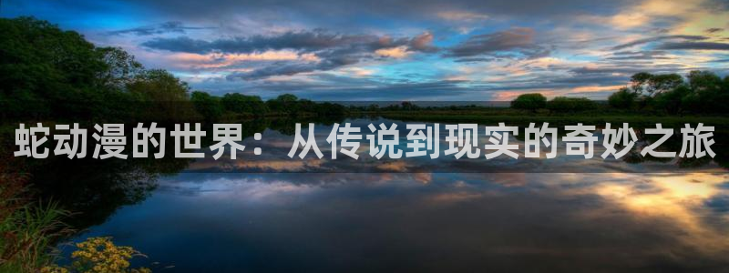 里番最新：蛇动漫的世界：从传说到现实的奇妙之旅