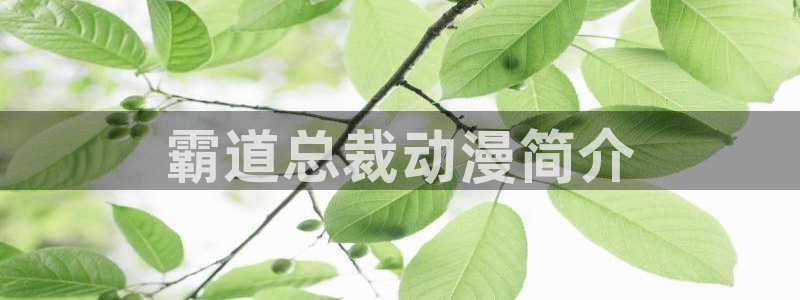 里番动漫网址：霸道总裁动漫简介