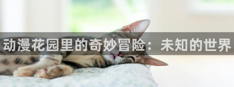里番动漫名称：动漫花园里的奇妙冒险：未知的世界