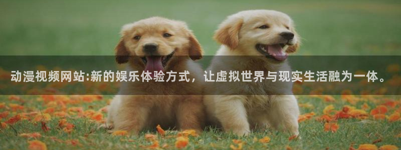 涩里番动漫视频