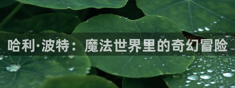 bl里番动漫：哈利·波特：魔法世界里的奇幻冒险